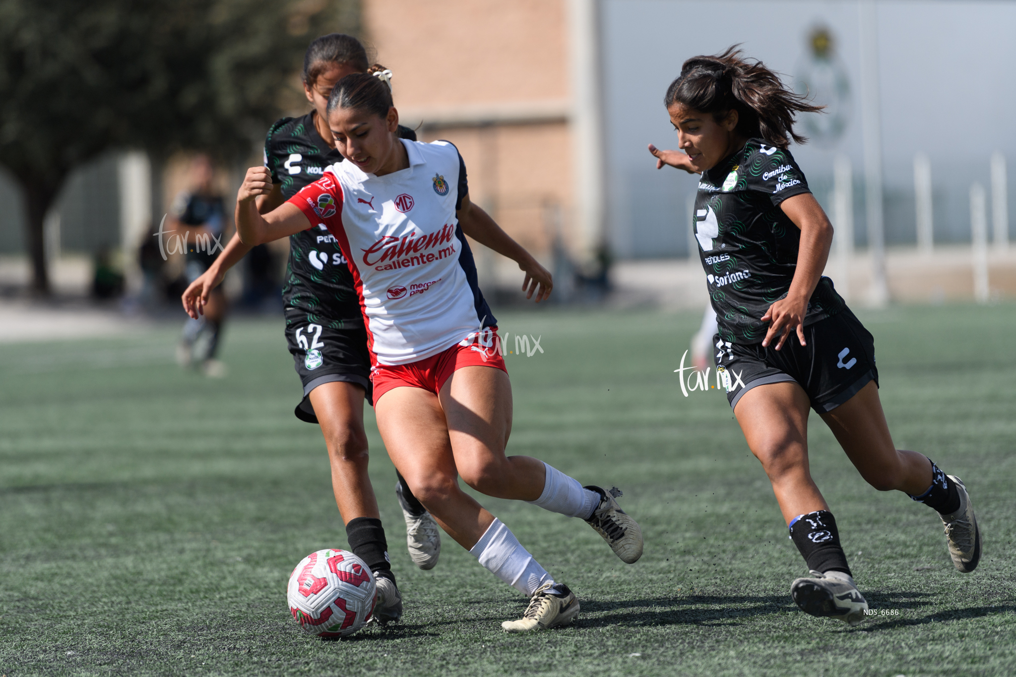 Amalia López, Genoveva Rojas » Santos Laguna vs Chivas Guadalajara sub 19