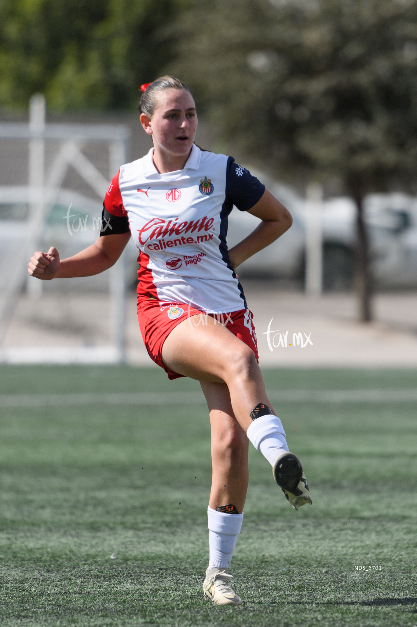 Sophia Garcia » Santos Laguna vs Chivas Guadalajara sub 19