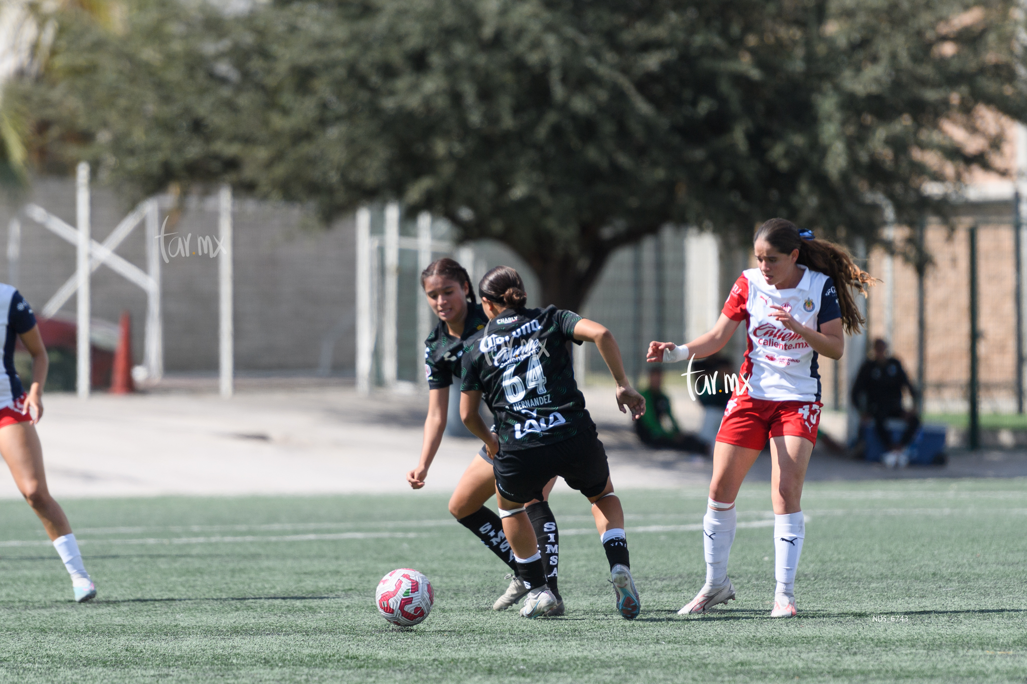 Britany Hernández » Santos Laguna vs Chivas Guadalajara sub 19