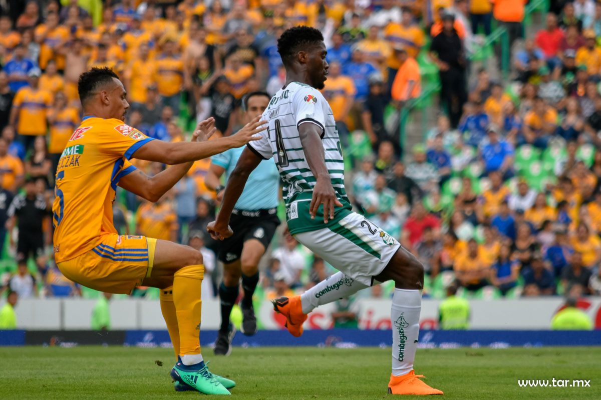 Djaniny Tavares