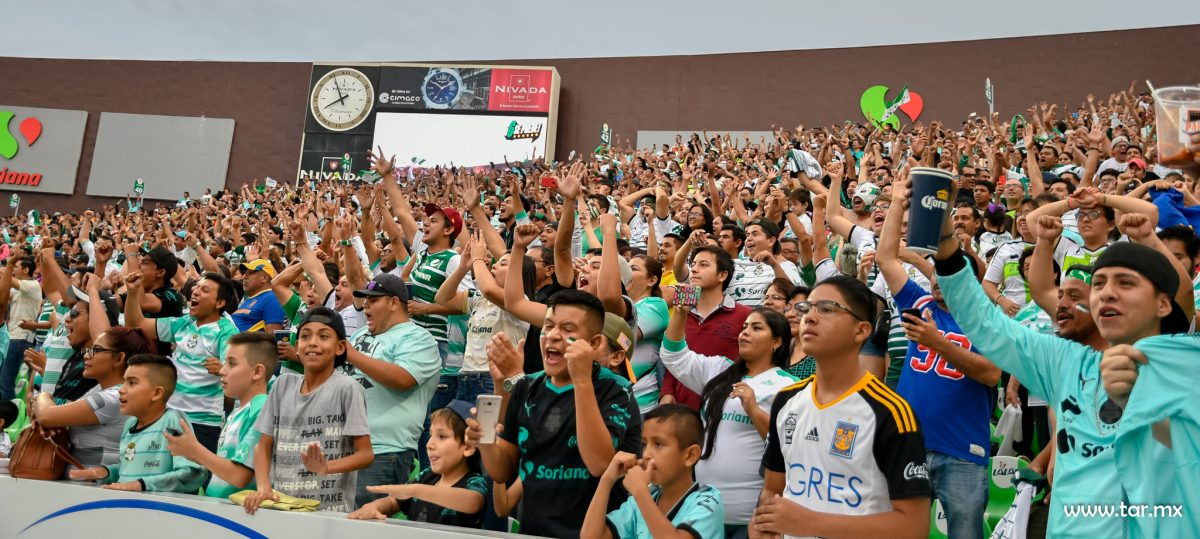 Festejo, Tigres eliminado