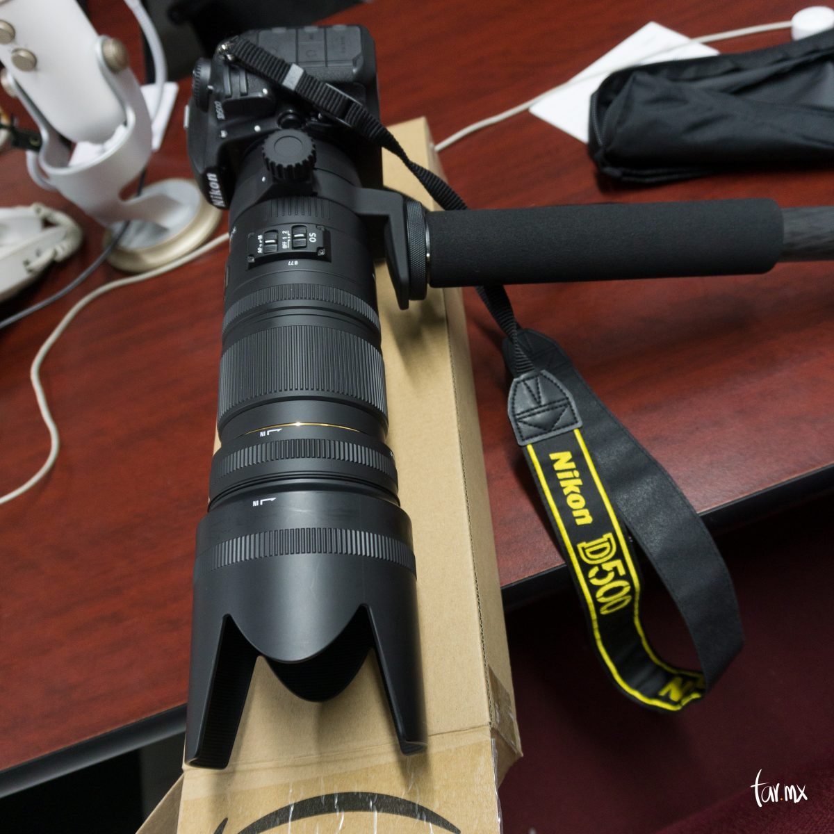 D500 Sigma en monopie