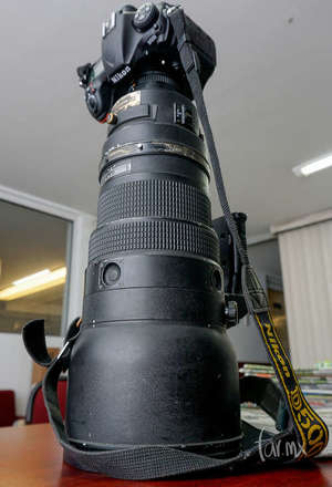 Nikon D500 con Nikon 400mm f/2.8