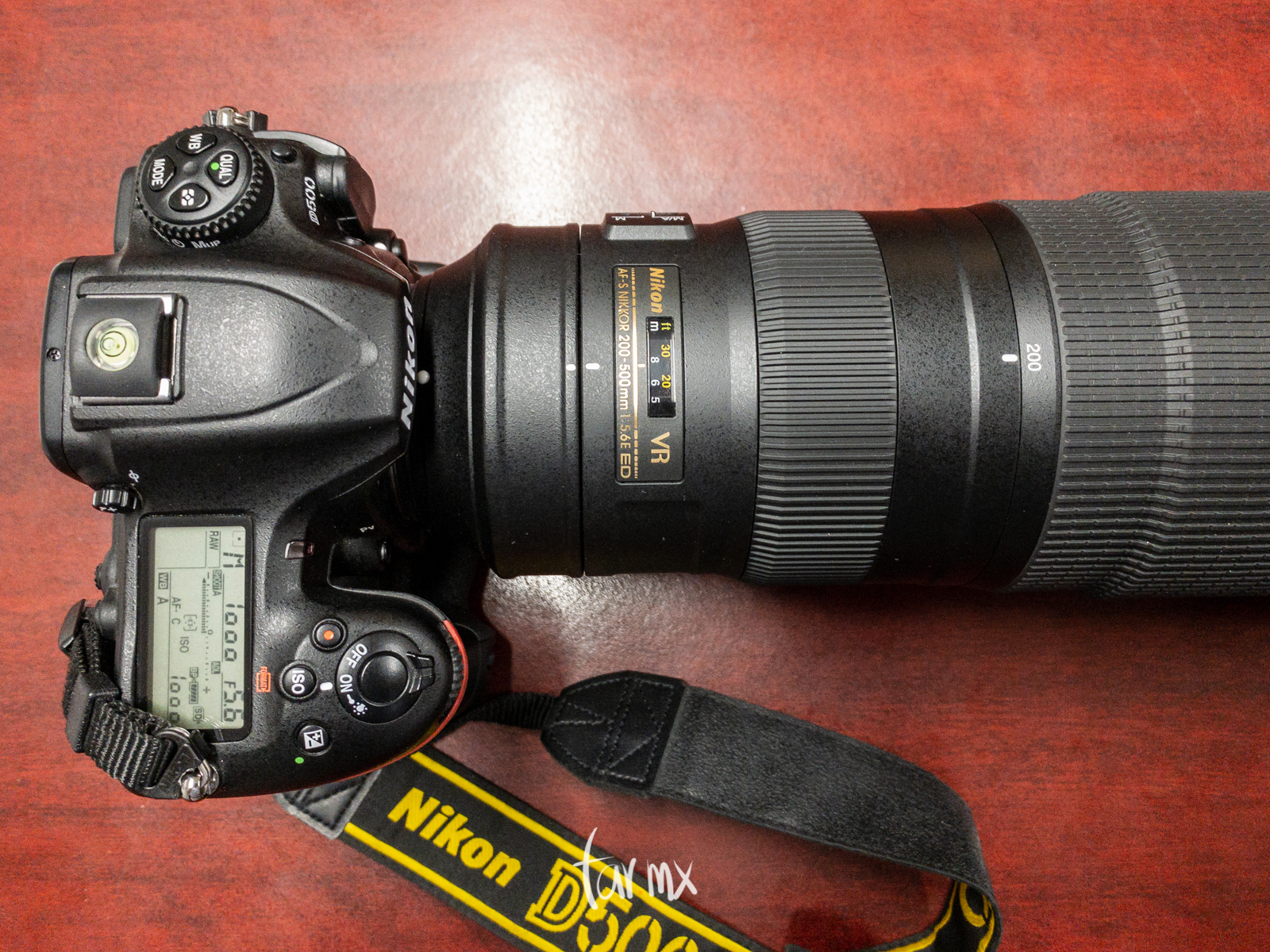 Nikon D500 + Nikkor 200-500mm f/5.6E ED VR
