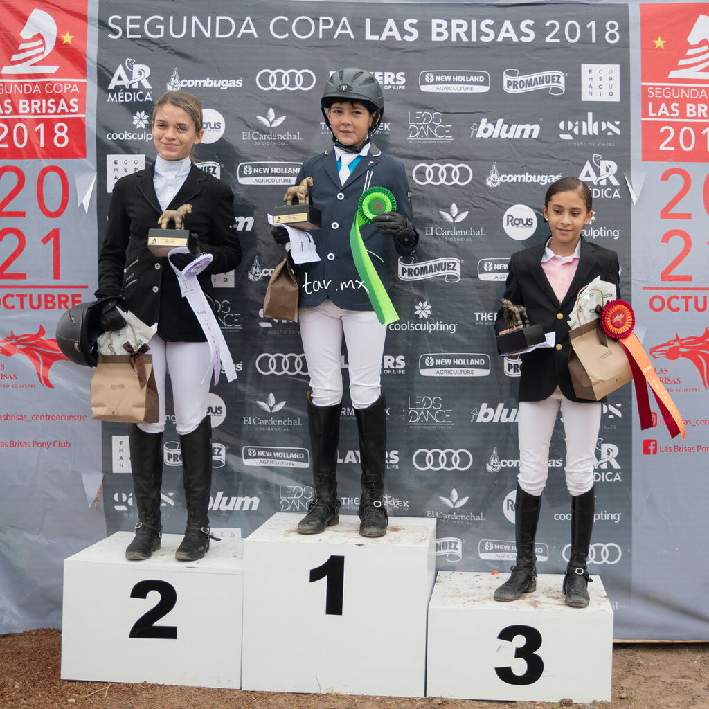 Concurso de salto, Las Brisas 2018 Concurso de salto, Las Brisas 2018